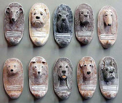 Medium Dogs