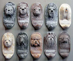 small dogs